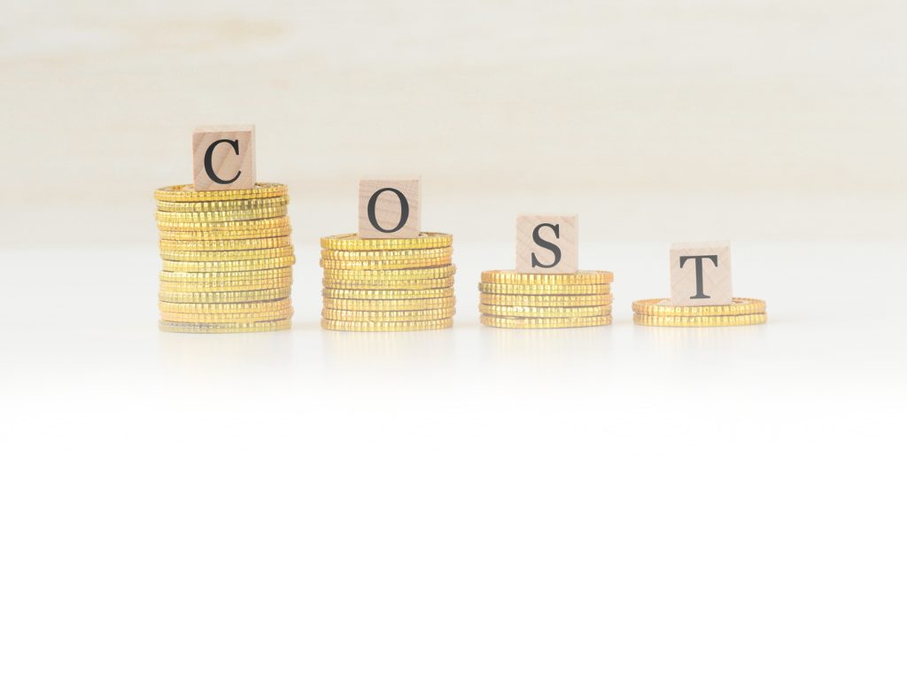 Coins and blocks spelling cost
