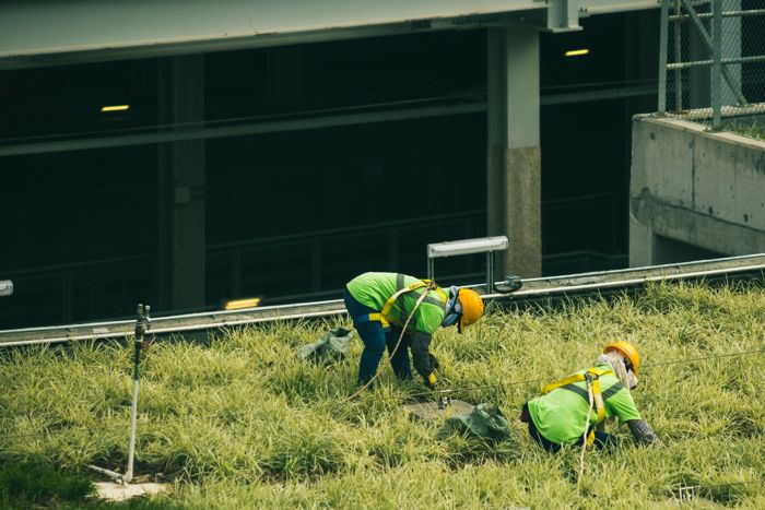 Grounds crew working on a lawn