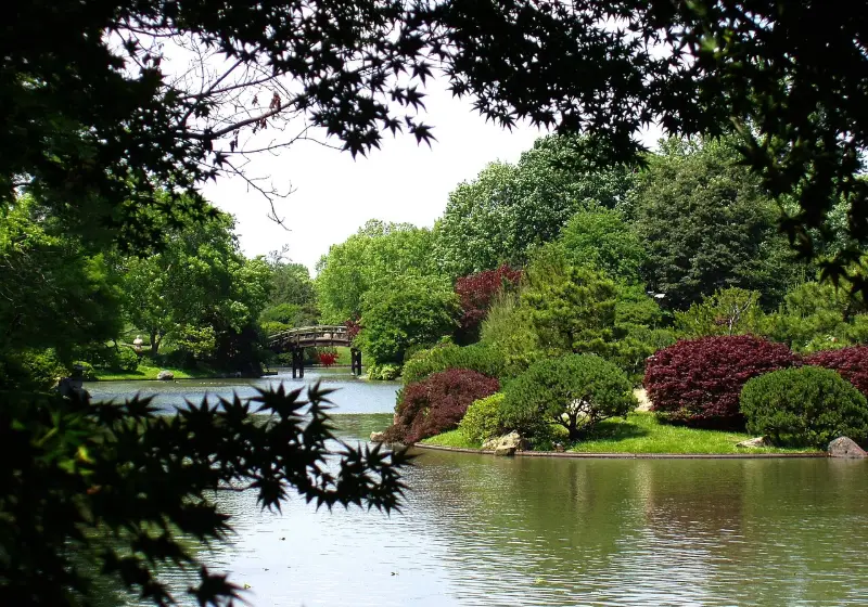 The Japanese garden at the Missouri Botanical Garden