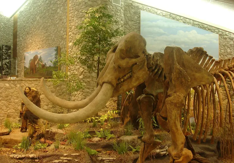 The museum at Mastodon State Historic Site